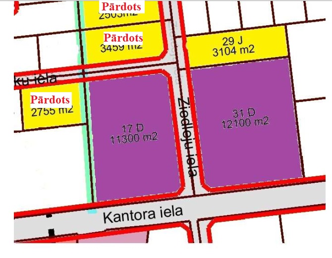 Pārdod zemi, Ziedleju iela - Attēls 1