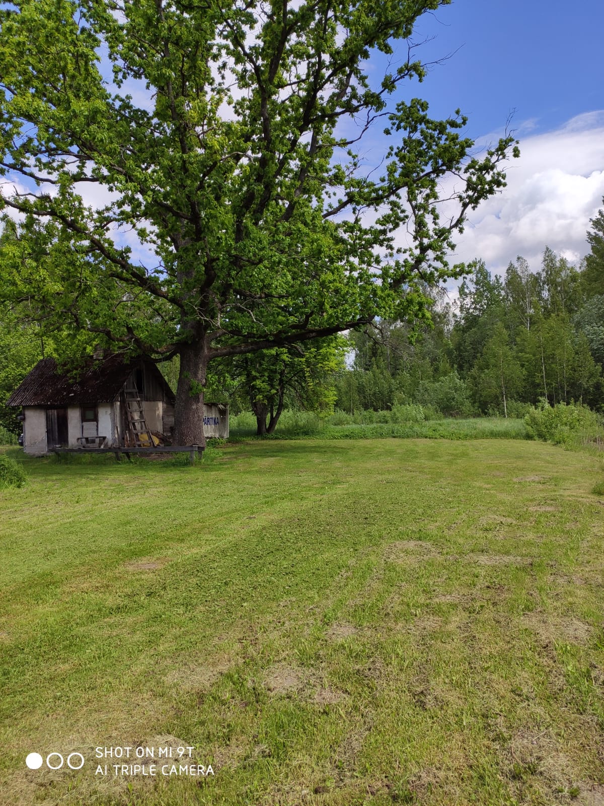 Pārdod māju, Celmiņi - Attēls 1