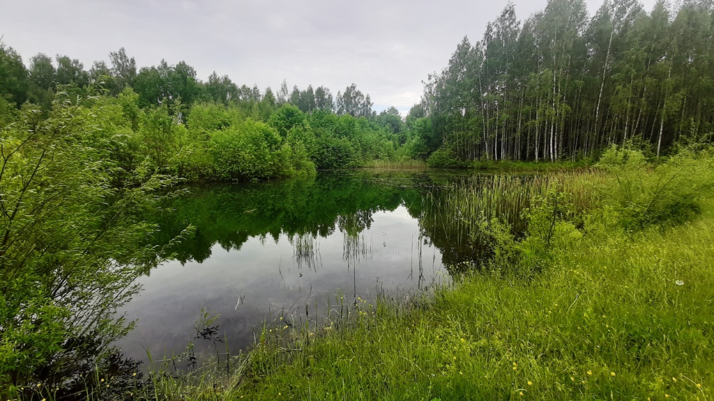 Pārdod māju, Celmiņi - Attēls 1