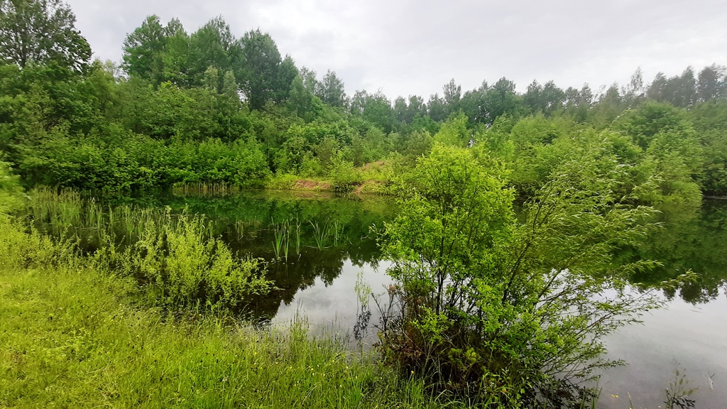 Pārdod māju, Celmiņi - Attēls 1