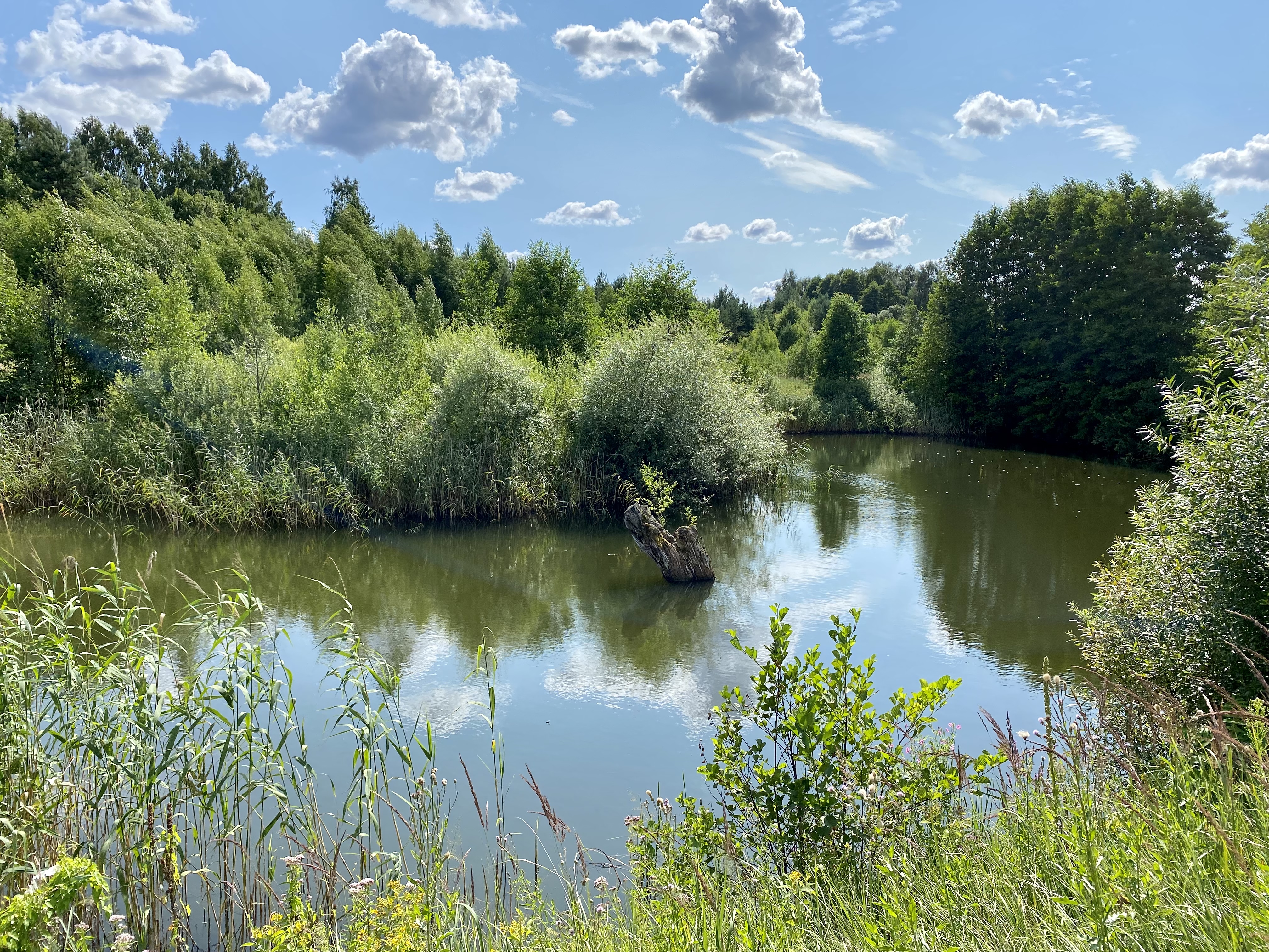 Pārdod māju, Kalēji - Attēls 1