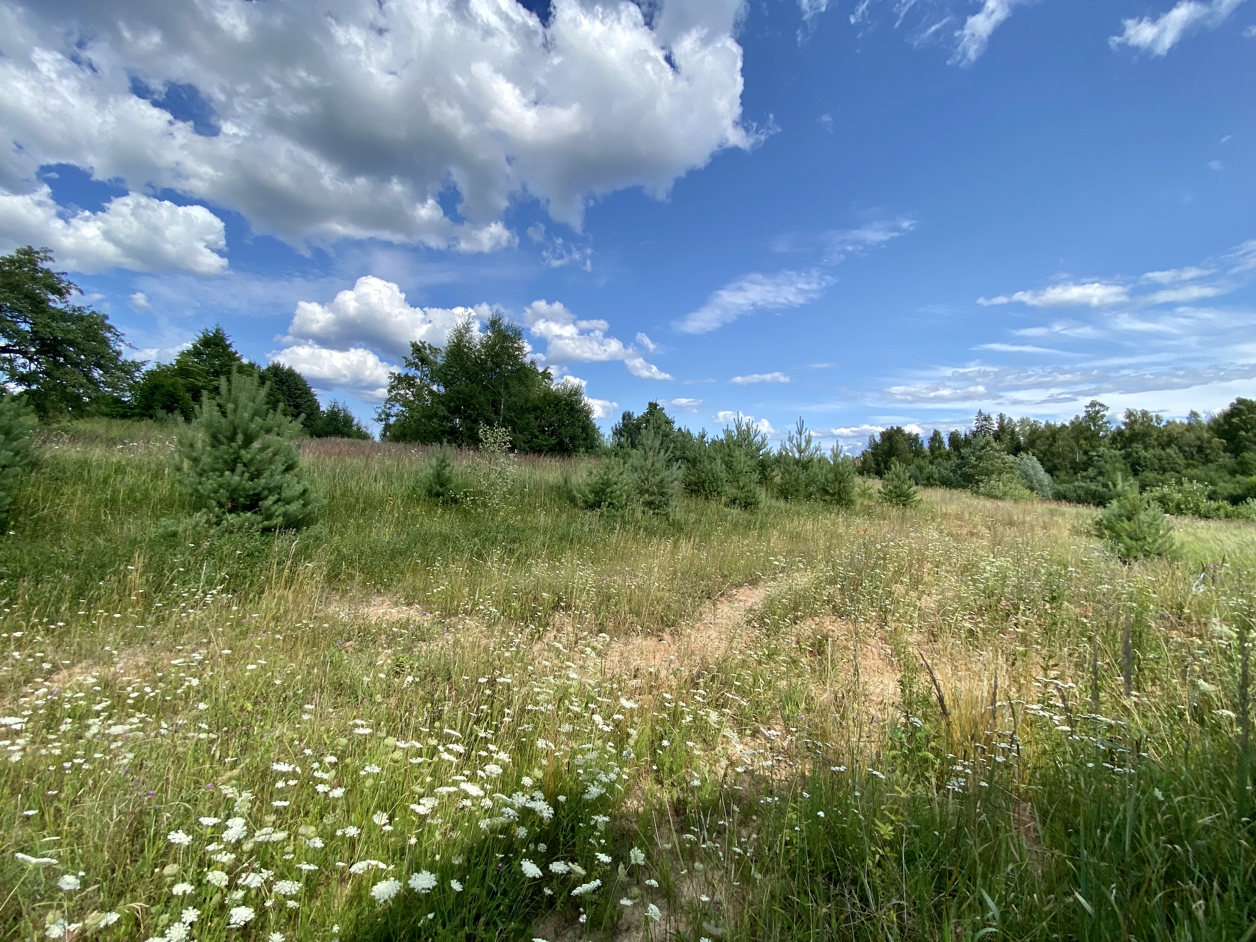 Pārdod māju, Kalēji - Attēls 1