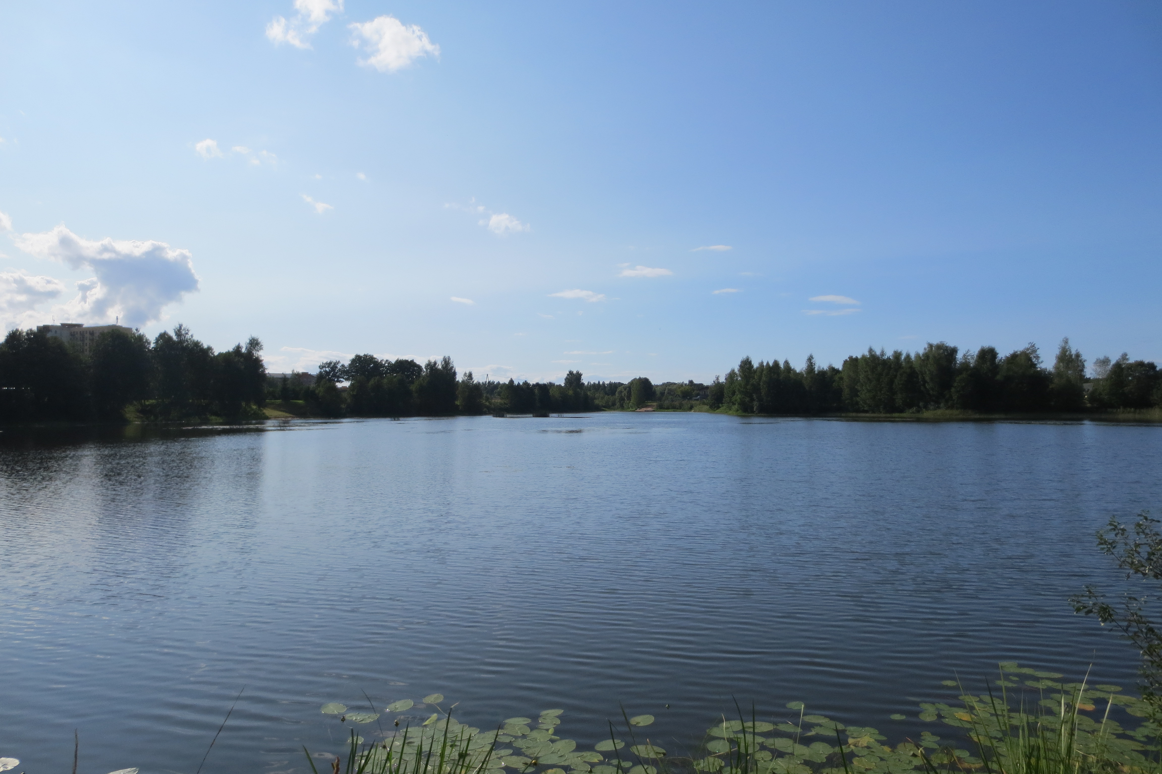 Pārdod māju, Čiekuru iela - Attēls 1