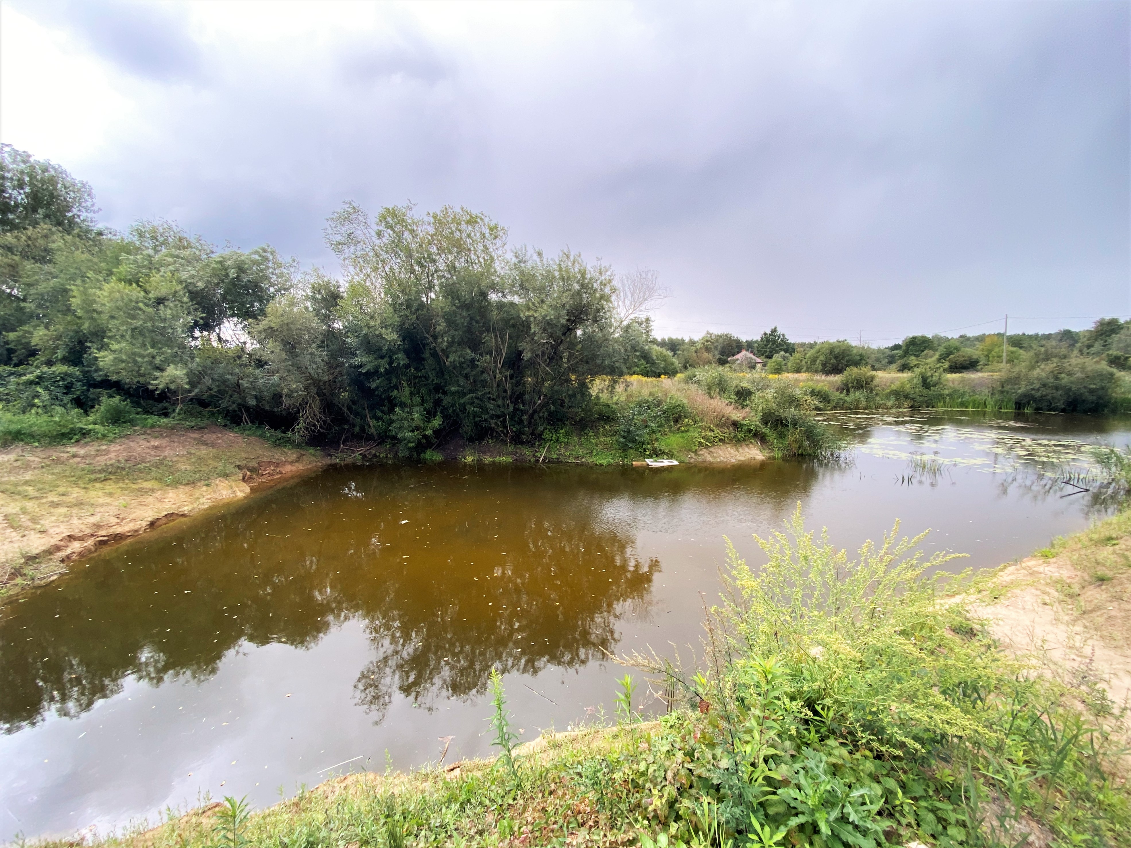 Pārdod māju, Putnu - Attēls 1