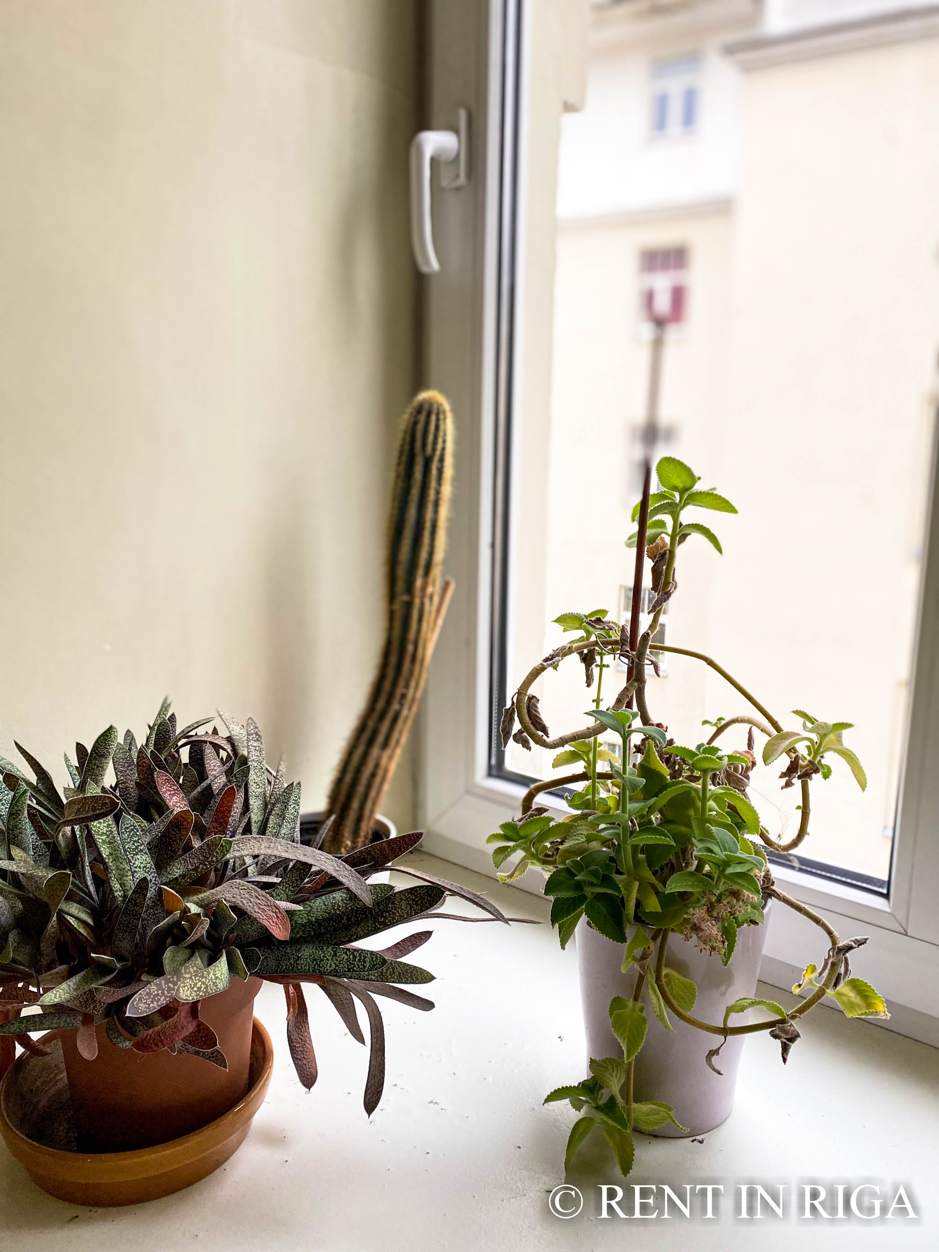 Pārdod dzīvokli, Hospitāļu iela 36a - Attēls 1