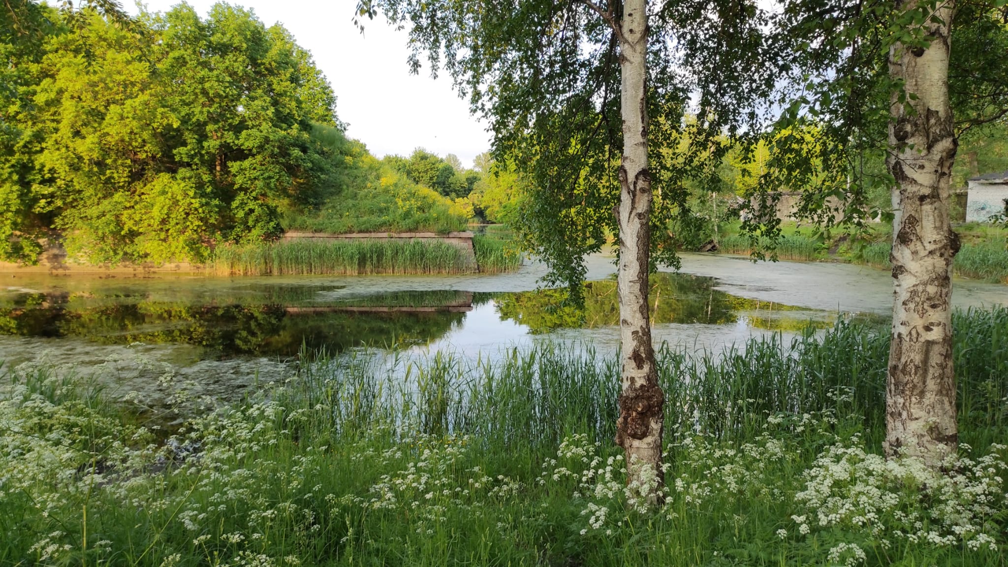 Pārdod namīpašumu, Flotes iela - Attēls 1