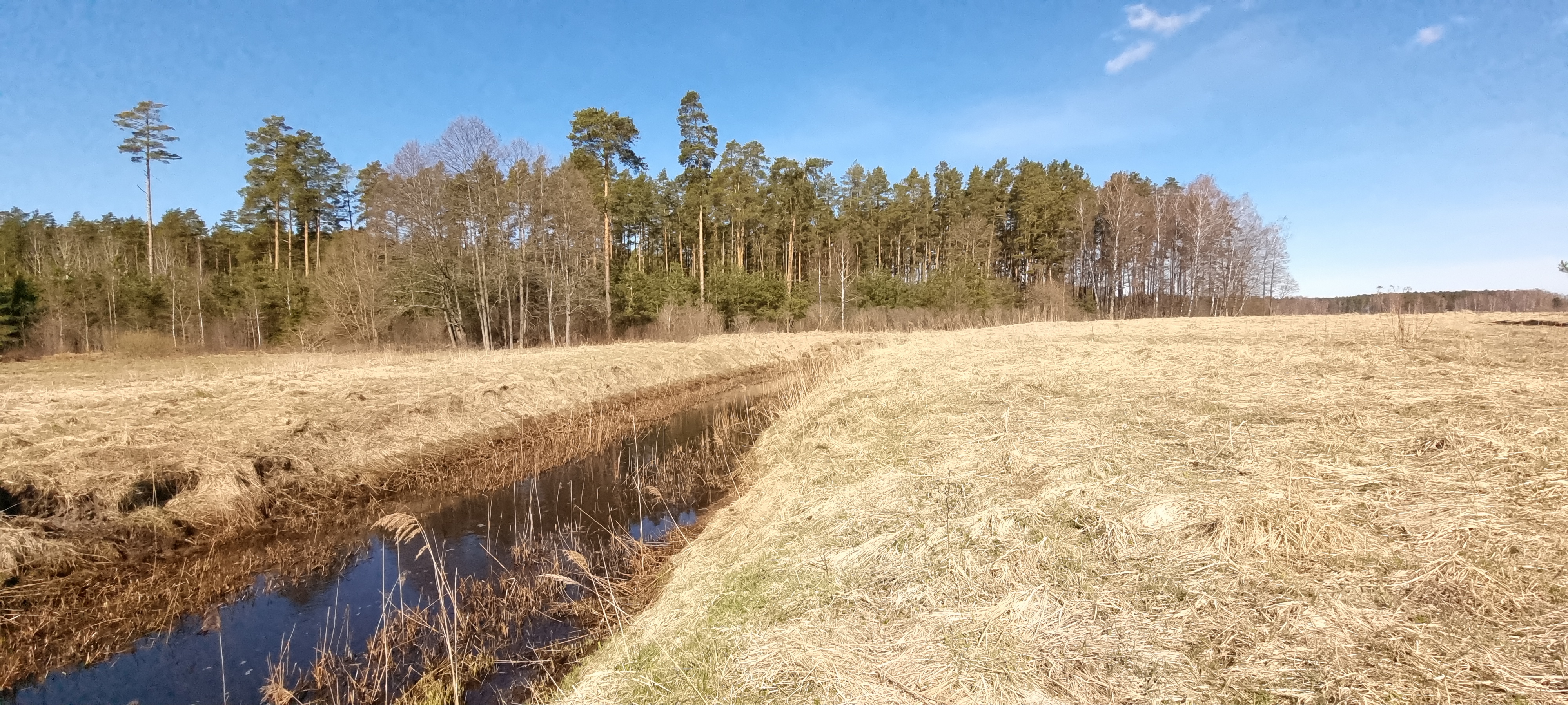 Pārdod zemi, Skultes iela - Attēls 1