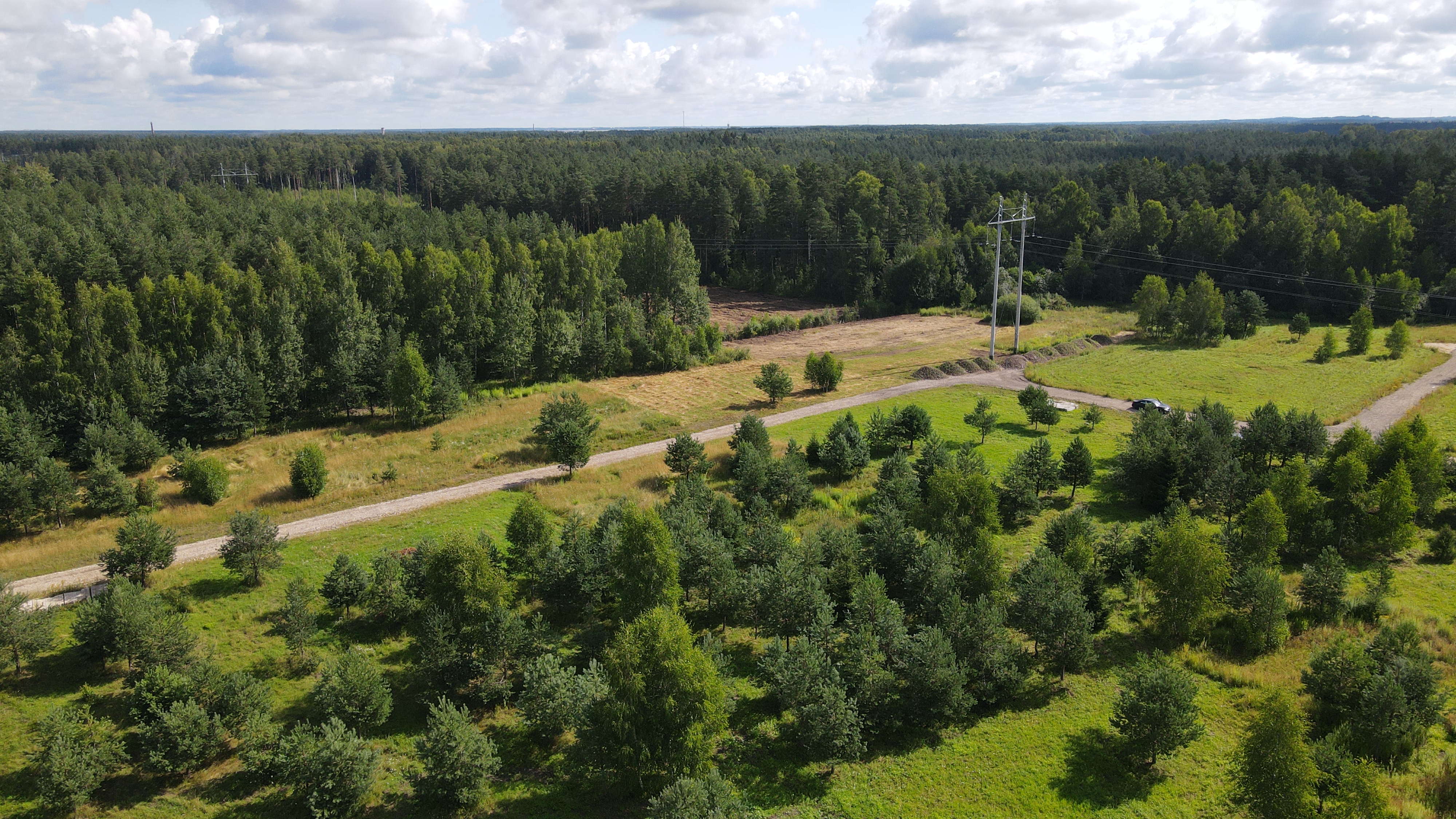 Pārdod zemi, Rozenieku iela - Attēls 1