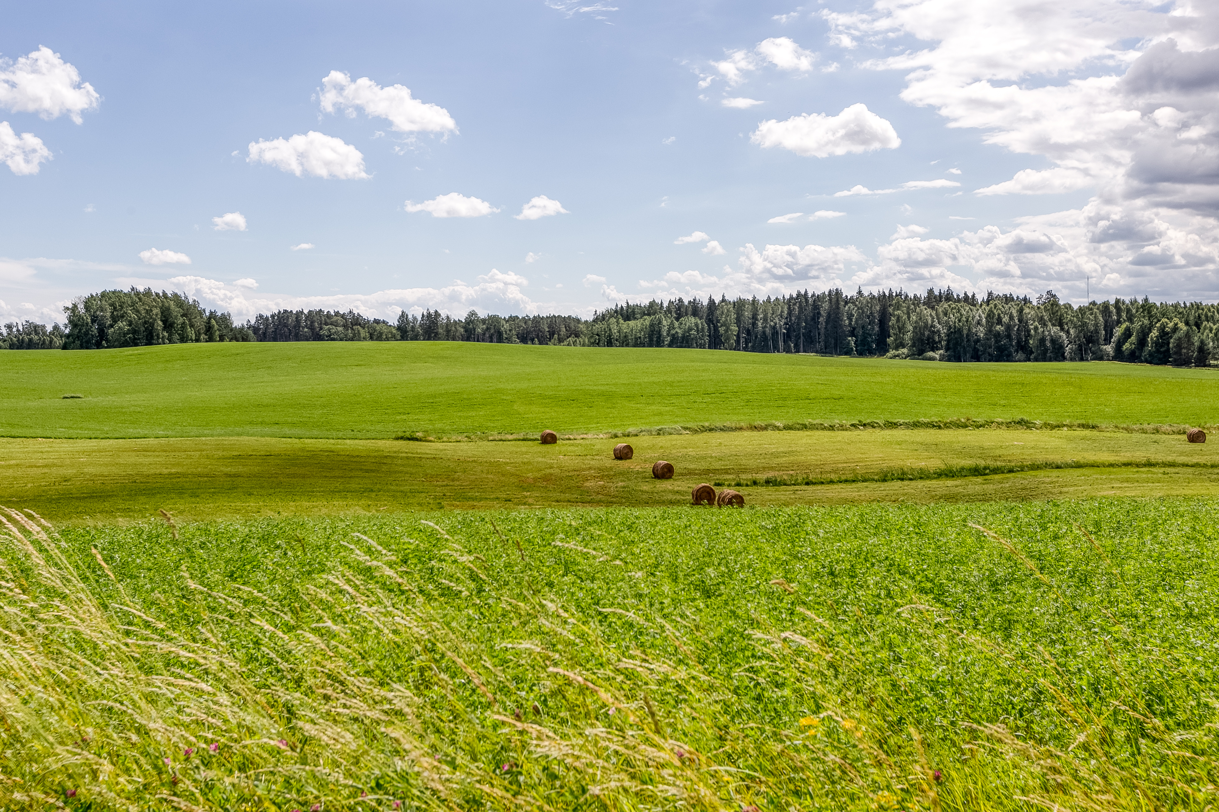 Pārdod zemi, Reisi - Attēls 1