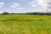 Pārdod zemi, Reisi - Attēls 1