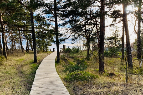 Saulkrastu nams - Attēls 8