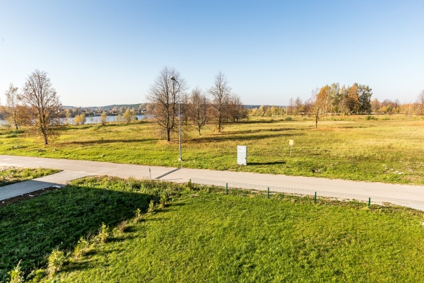 Zirņu sala - Attēls 5