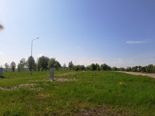 Zirņu sala - Attēls 9
