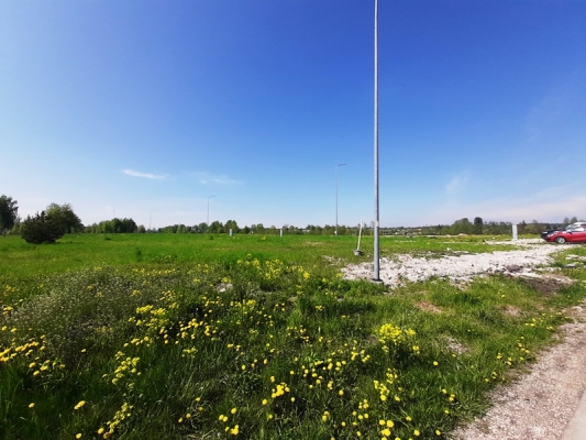 Zirņu sala - Attēls 10