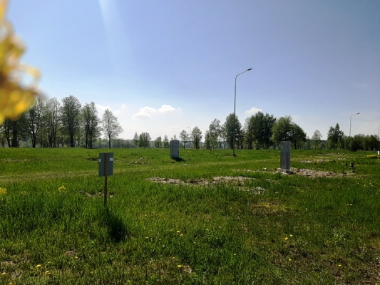 Zirņu sala - Attēls 11